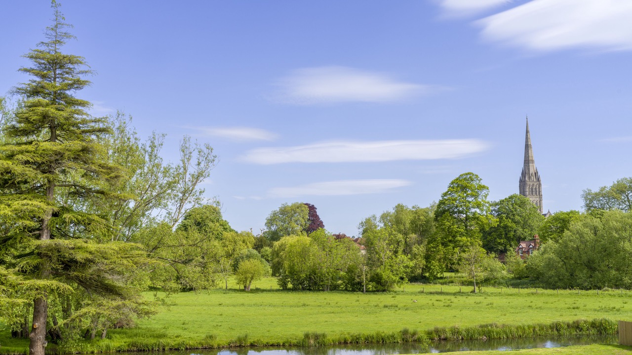 Photo of Others in Harnham