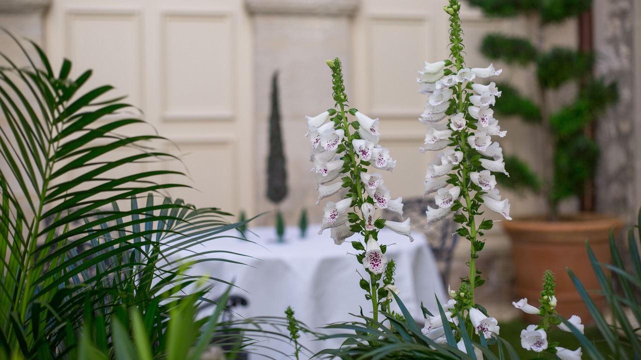 Photo of Others in Avignon City Centre