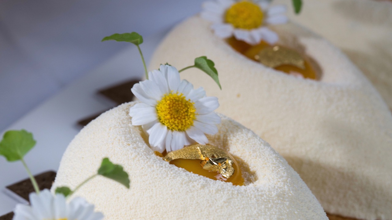 Photo of Others in Avignon City Centre