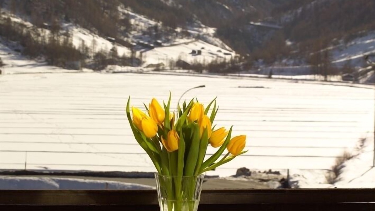 Photo of Patio Balcony in Taesch