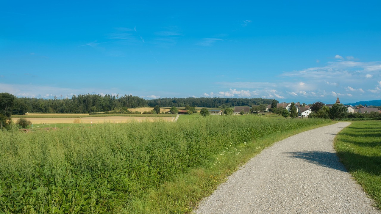 Photo of Others in Glattbrugg