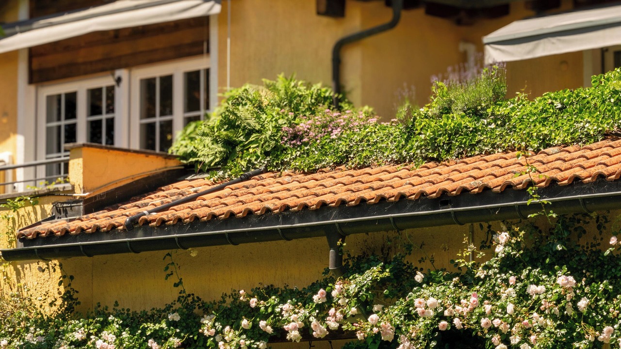 Photo of Outdoor in Arcegno