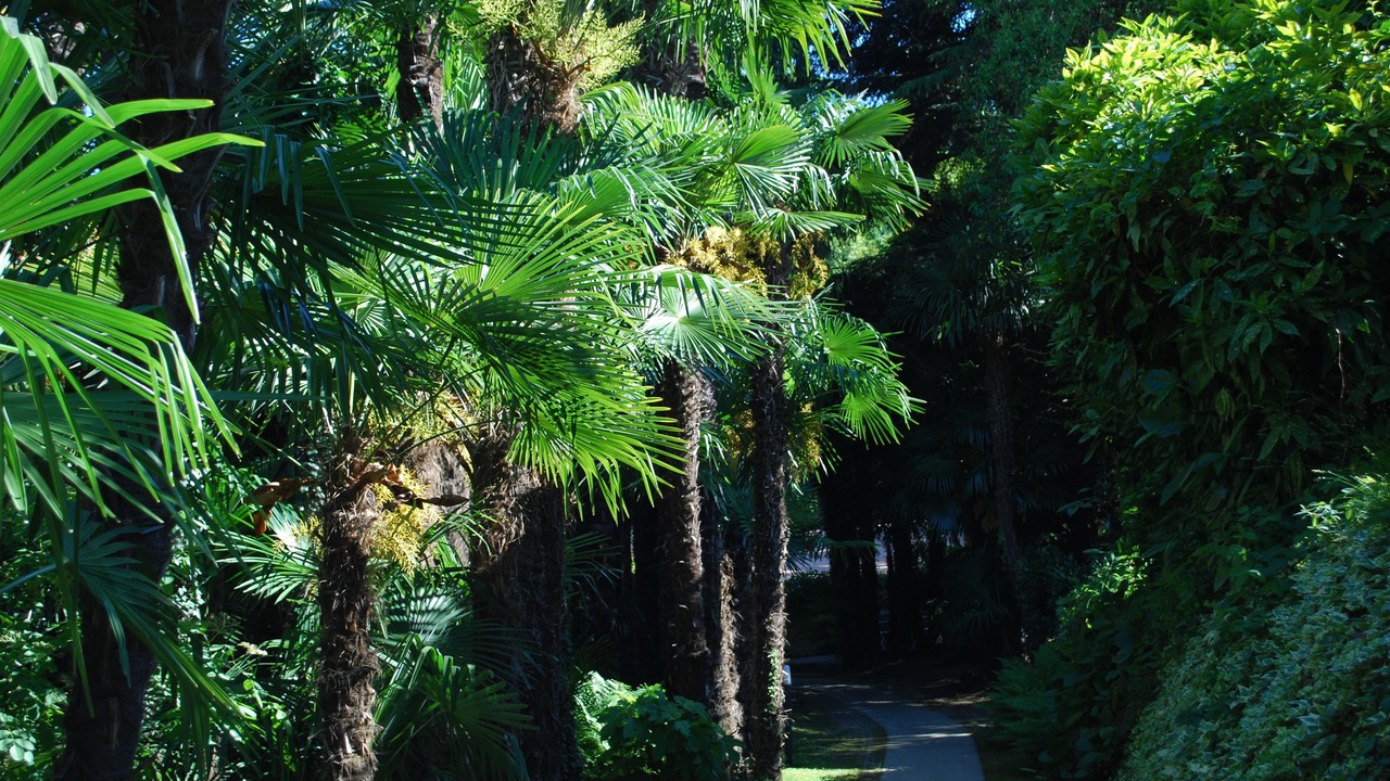 Photo of Outdoor in Lugano