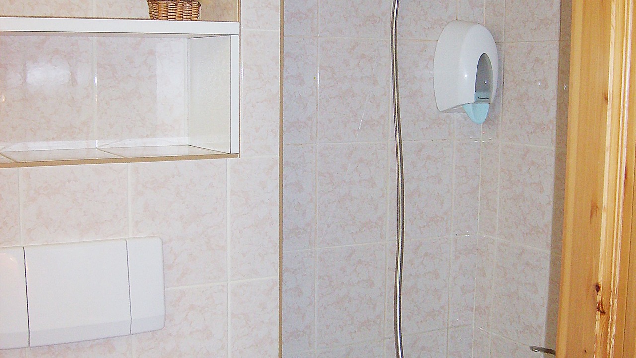 Photo of Bathroom in Leysin