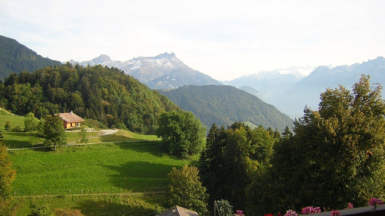 Photo of Others in Leysin