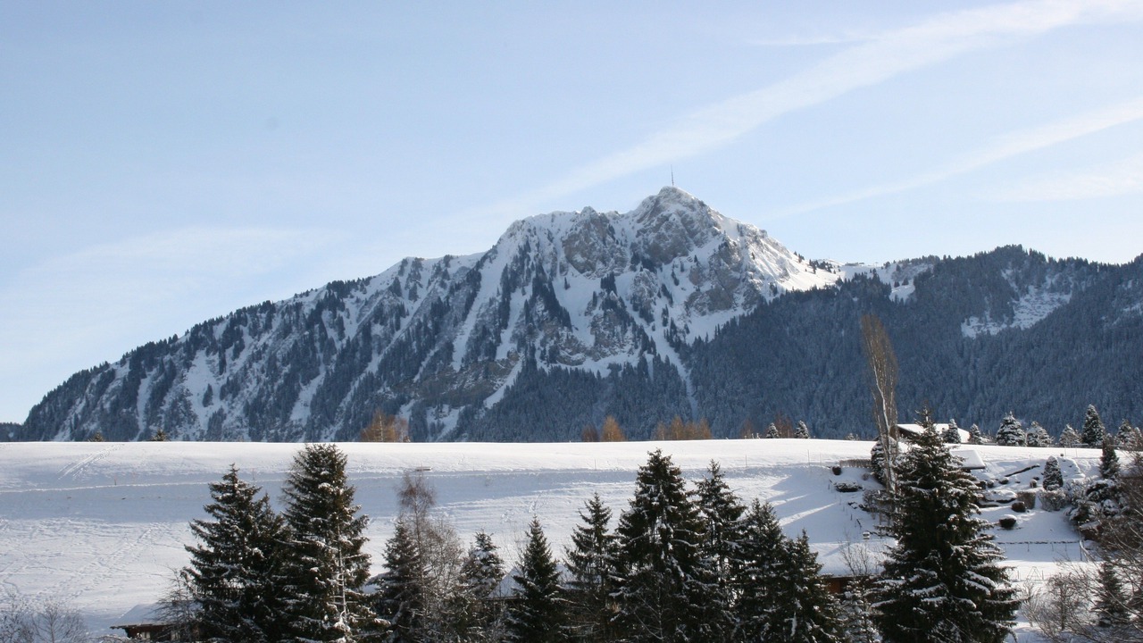 Photo of Others in Leysin