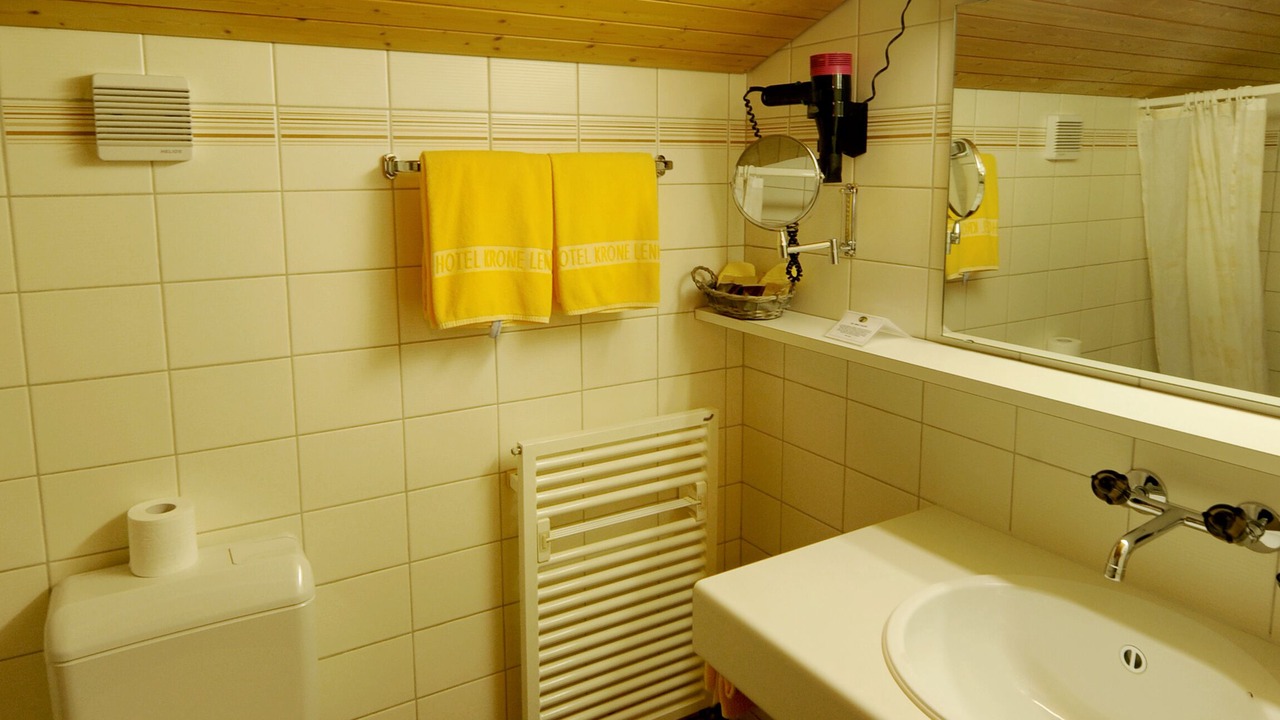Photo of Bathroom in Lenk