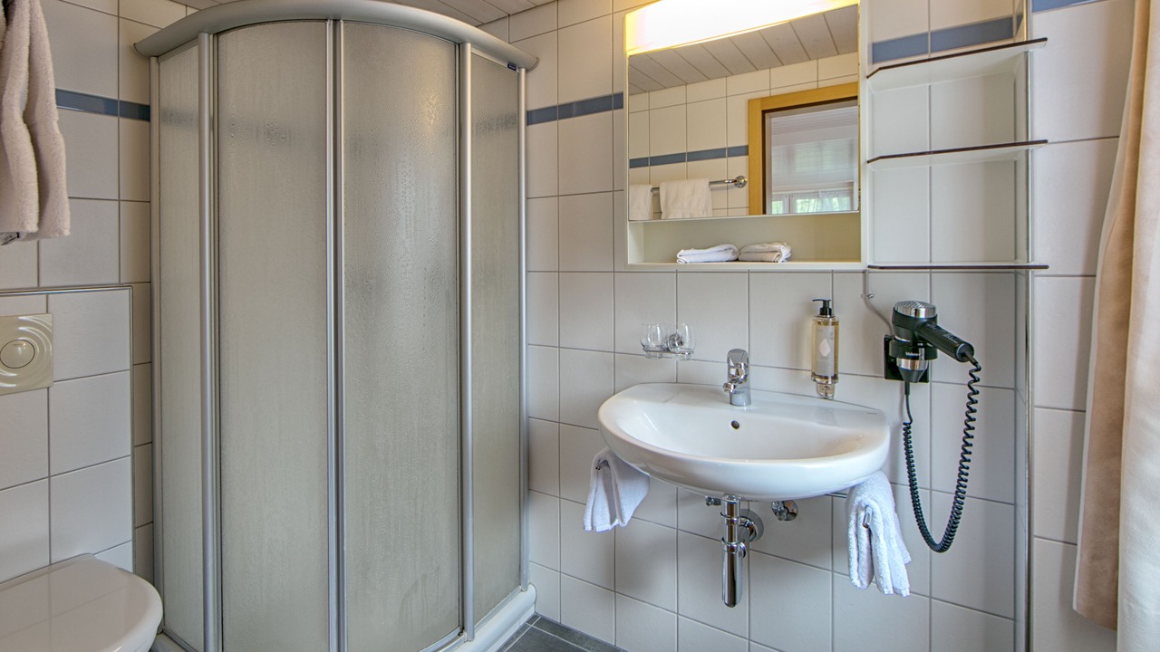 Photo of Bathroom in Weissbad