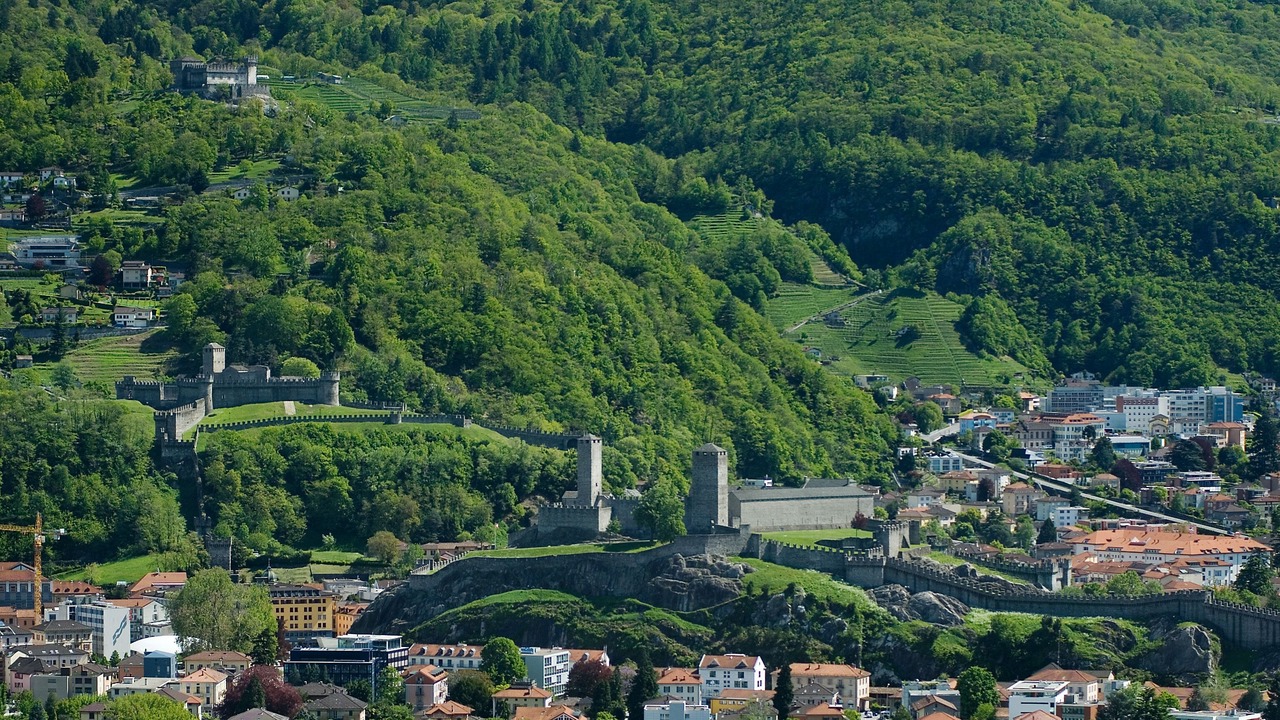 Photo of Others in Bellinzona