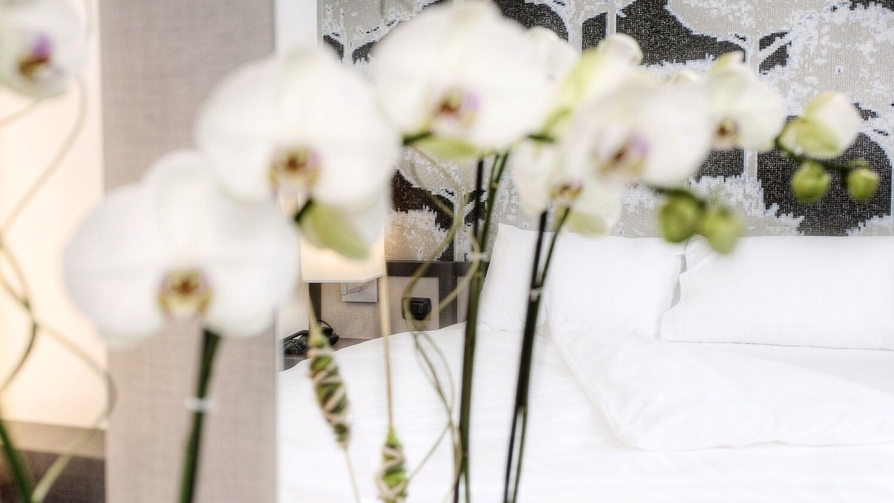 Photo of Bedroom in Bellinzona