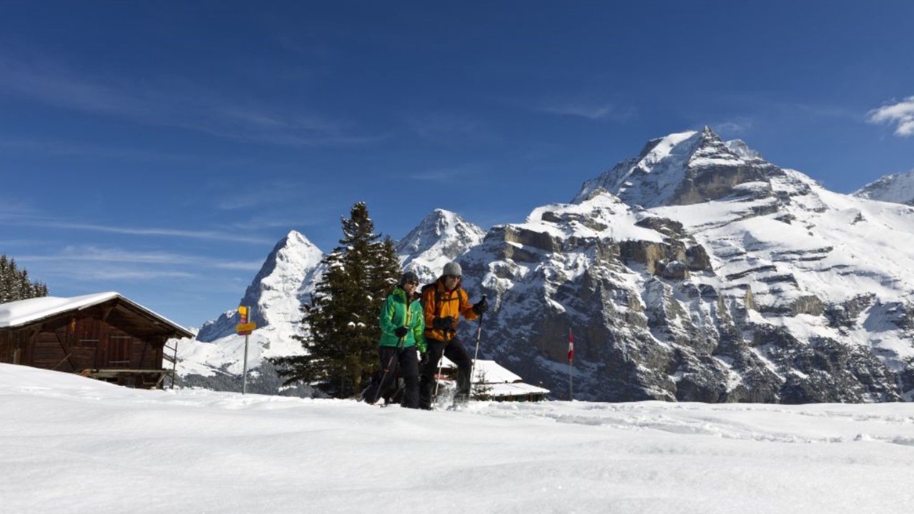 Photo of Others in Murren