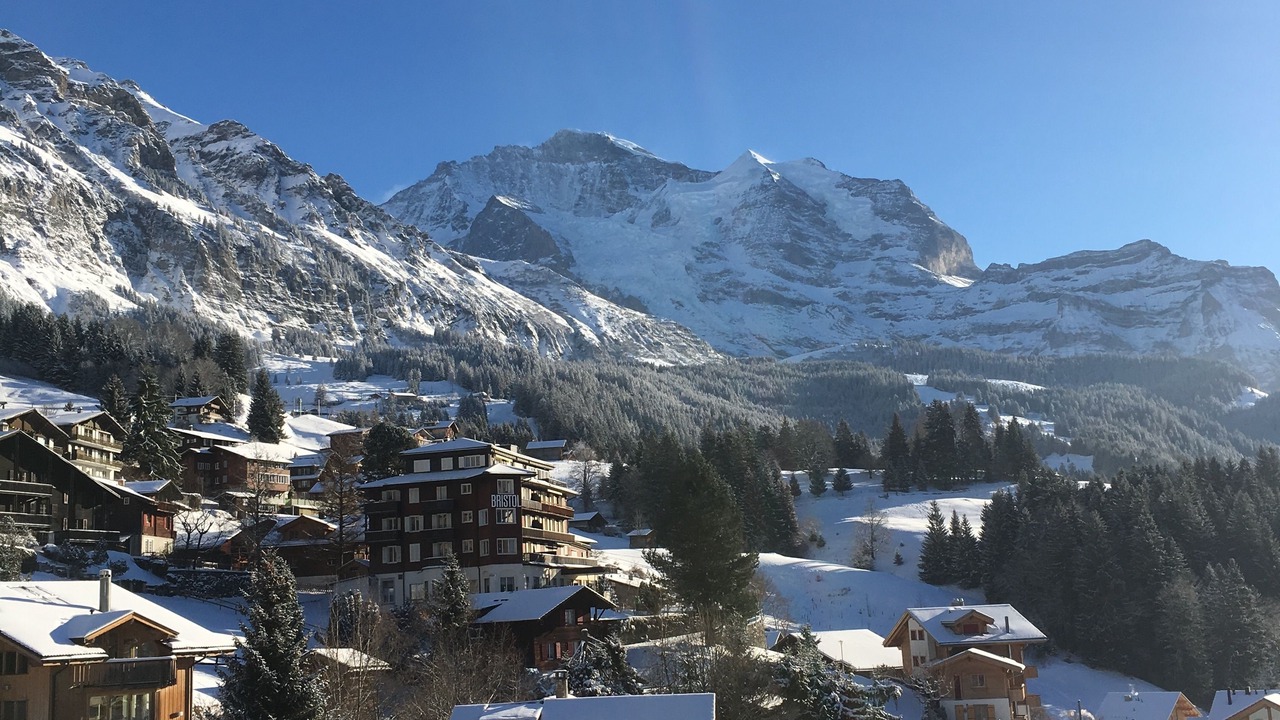 Photo of Others in Wengen