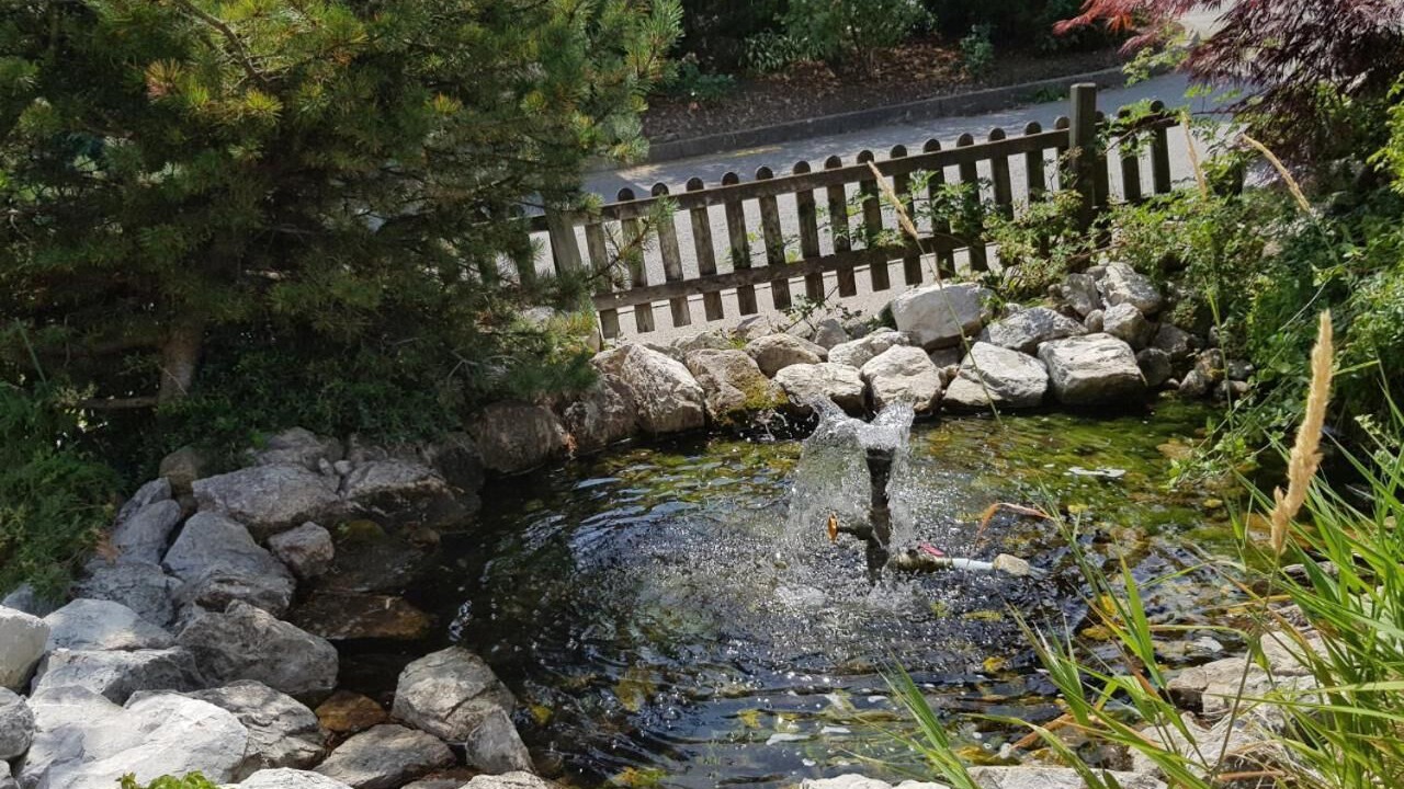 Photo of Outdoor in Morlon