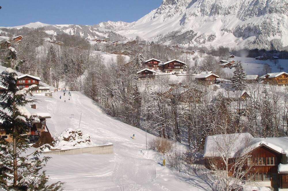 Photo of Others in Grindelwald