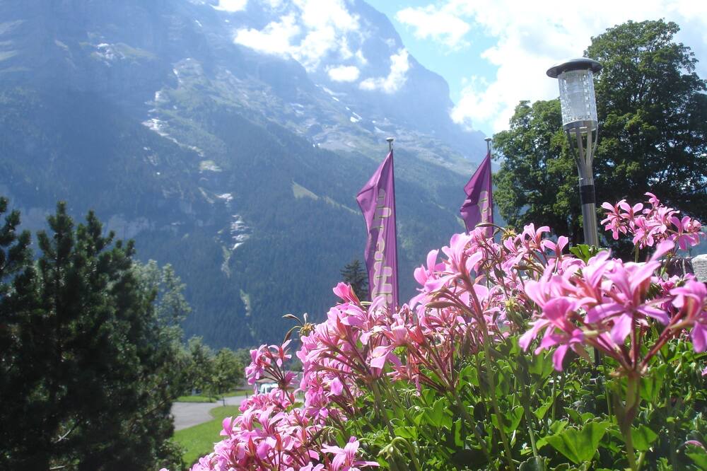 Photo of Others in Grindelwald
