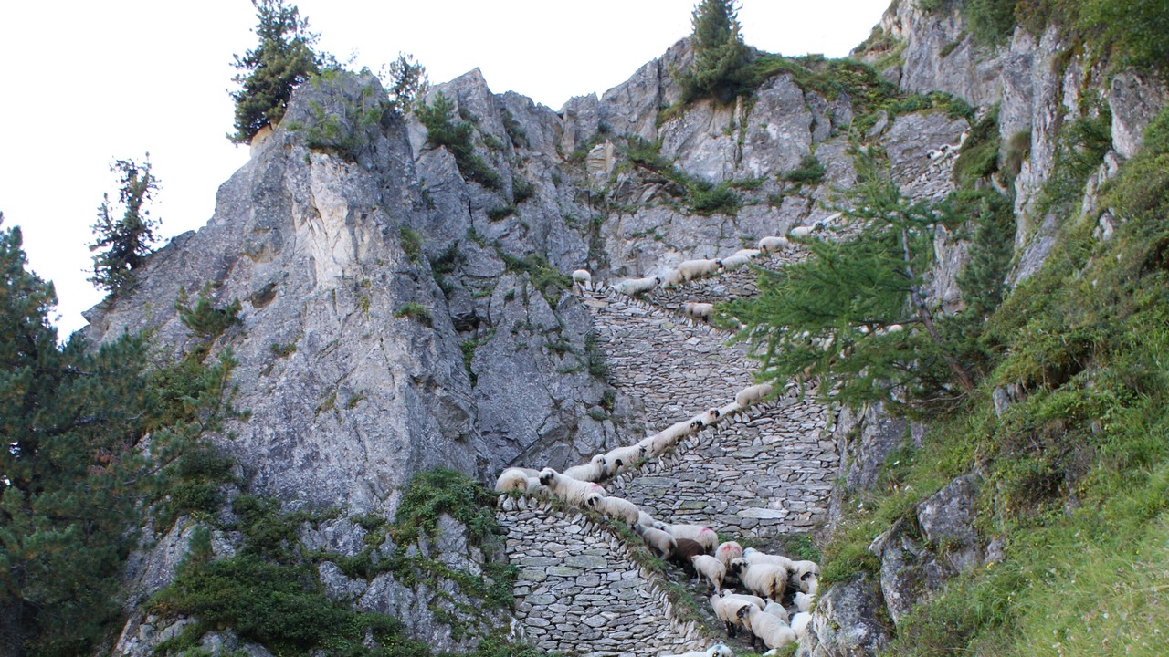 Photo of Outdoor in Brig