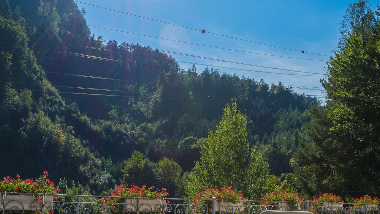 Photo of Outdoor in Matten bei Interlaken