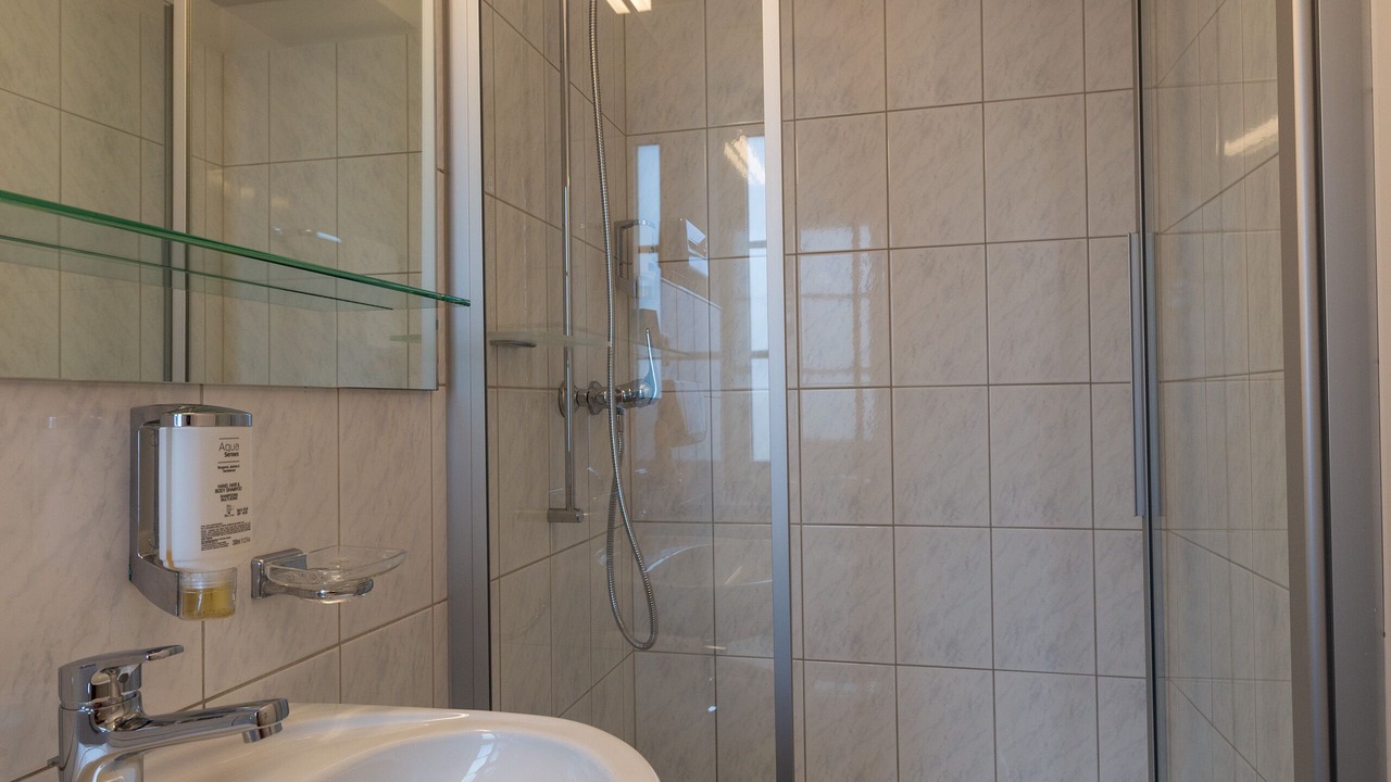 Photo of Bathroom in Schaffhausen