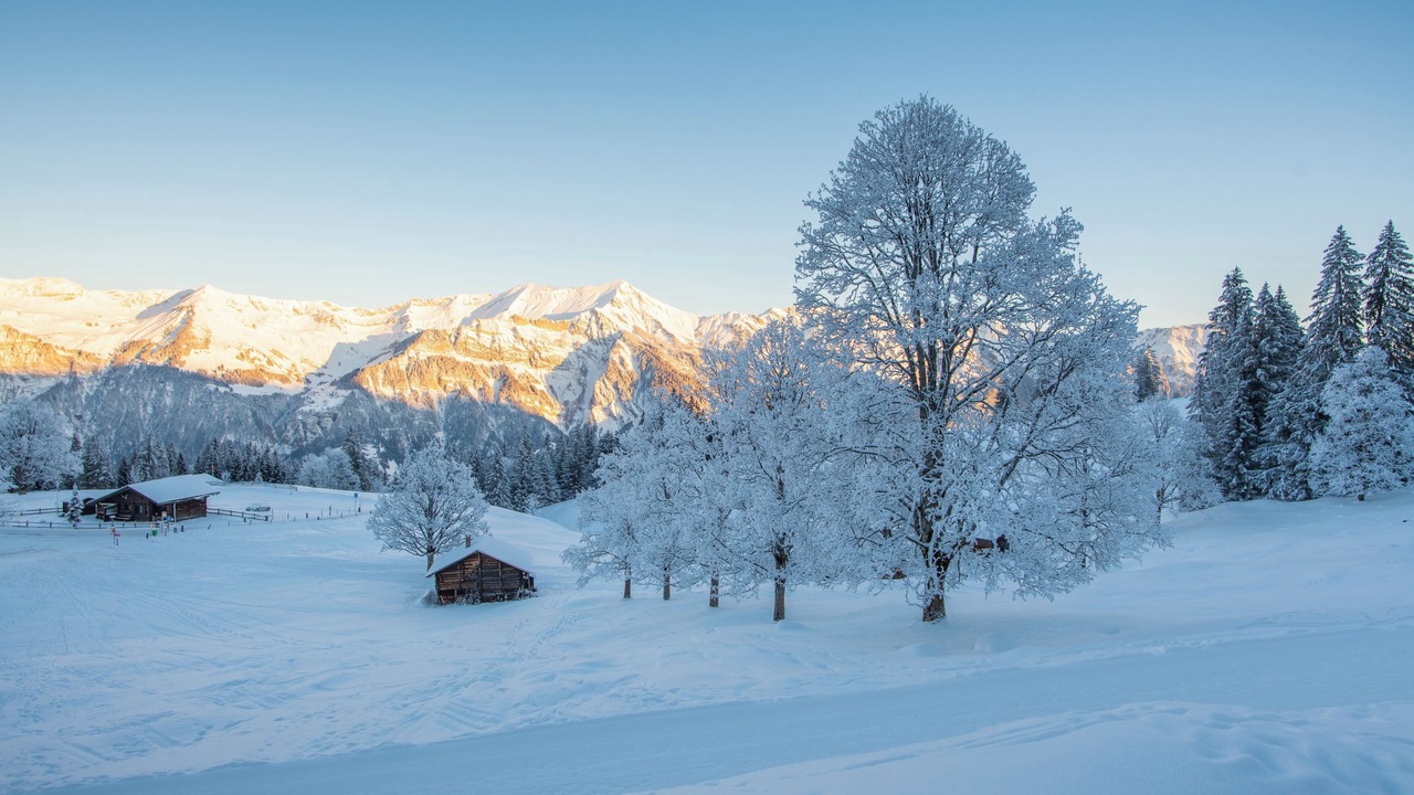 Photo of Others in Brienz