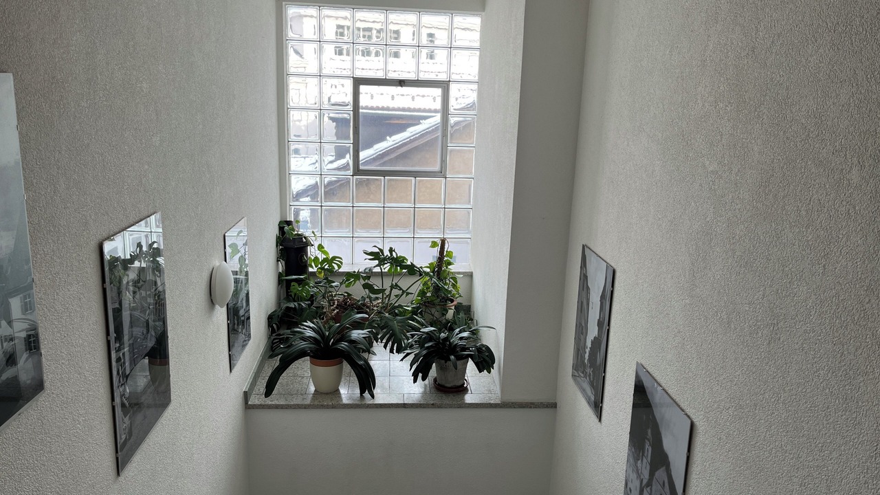 Photo of Others in Old Town