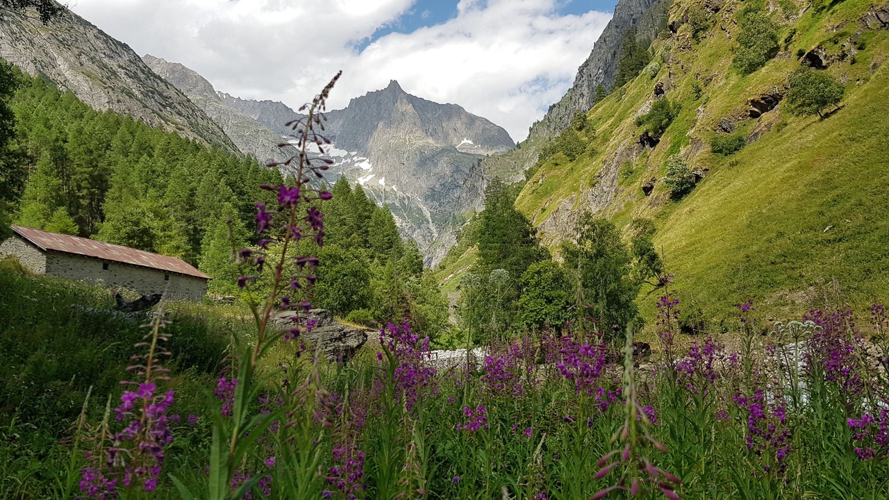 Photo of Outdoor in Ausserberg