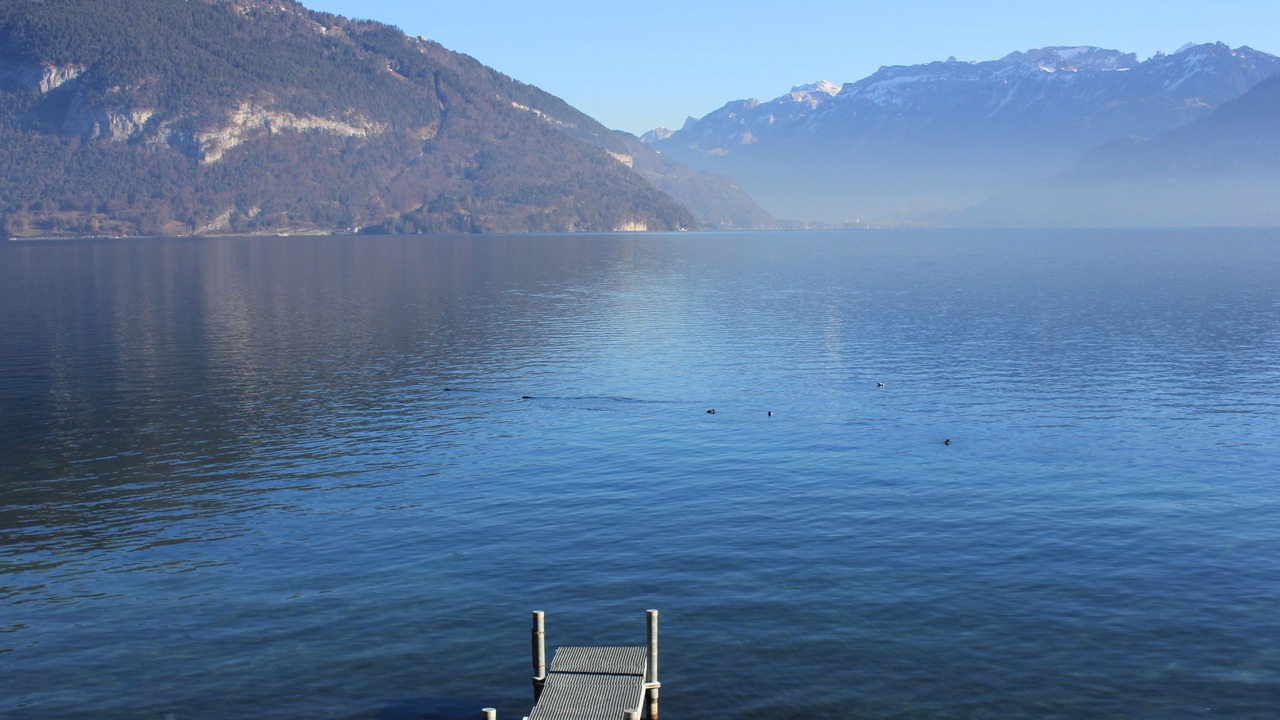Photo of Others in Faulensee