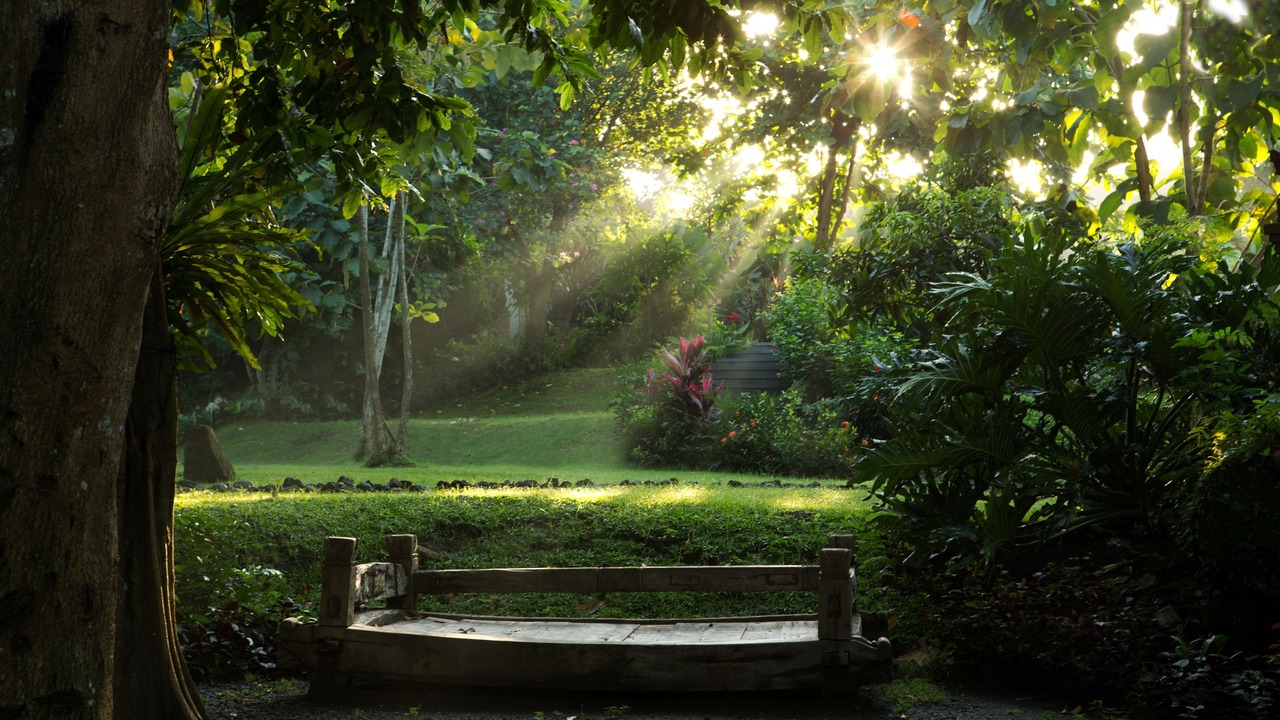 Photo of Others in Banjar Semer