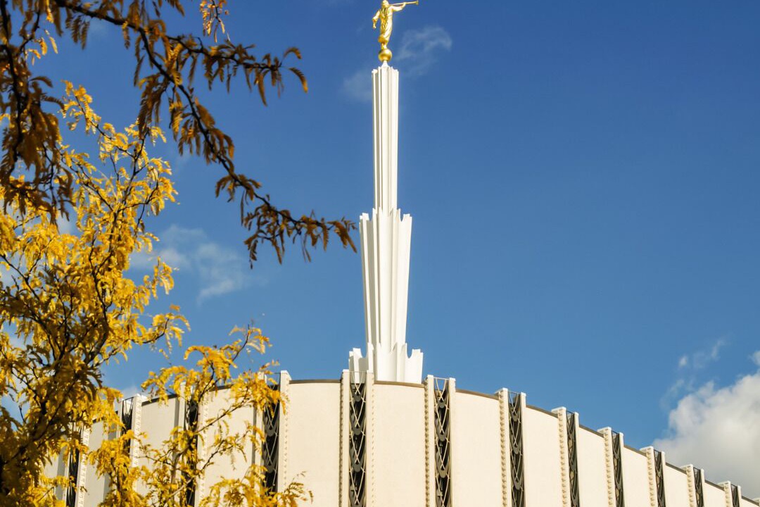 Photo of Others in Ogden