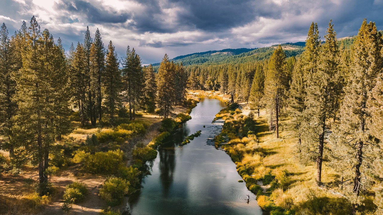 Photo of Others in Gold Mountain