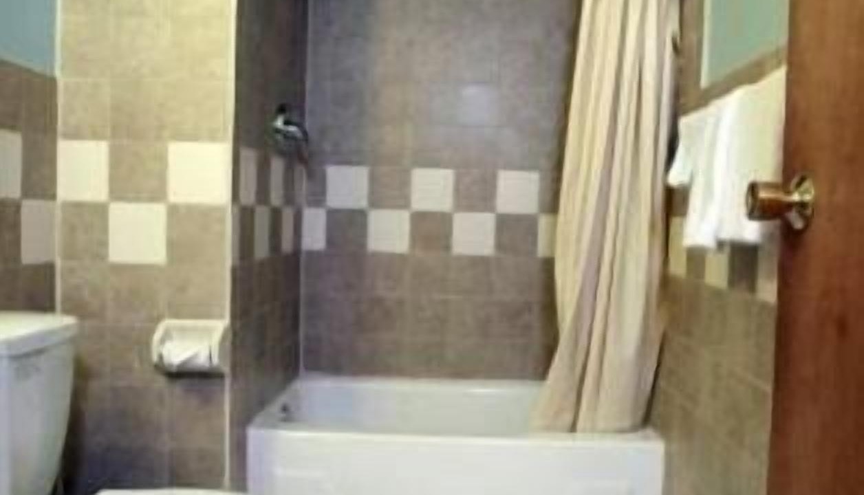 Photo of Others in Jericho