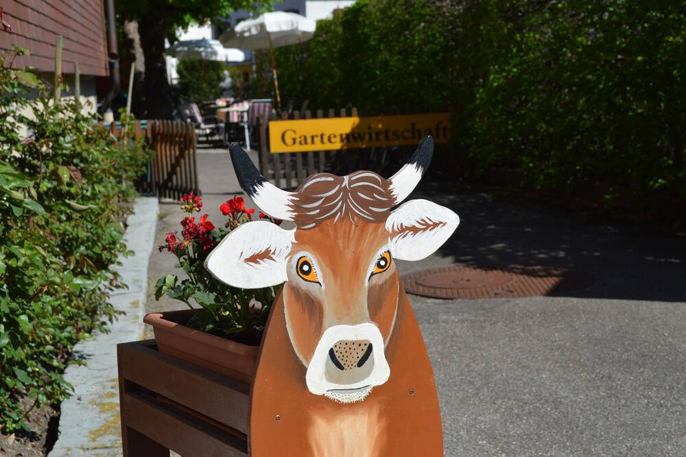Photo of Outdoor in Unteriberg