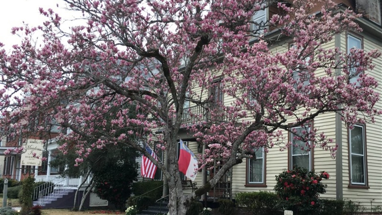 Photo of Outdoor in New Bern