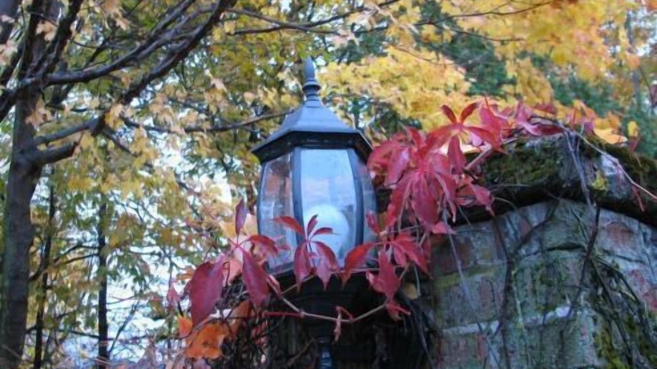 Photo of Outdoor in Rothesay