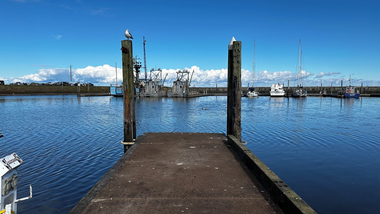 Photo of Others in Westport