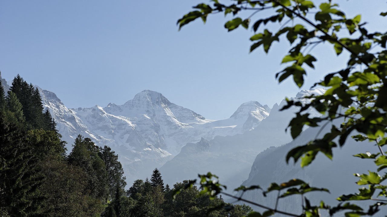 Photo of Others in Wengen