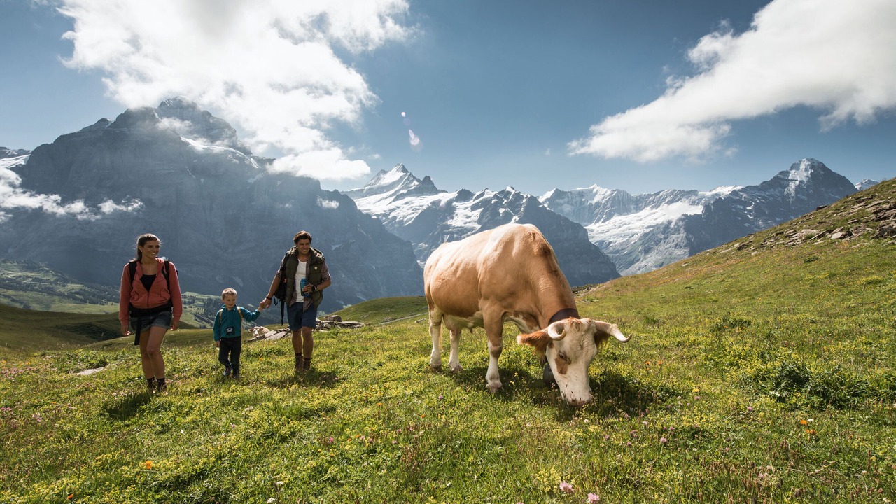 Photo of Outdoor in Wengen