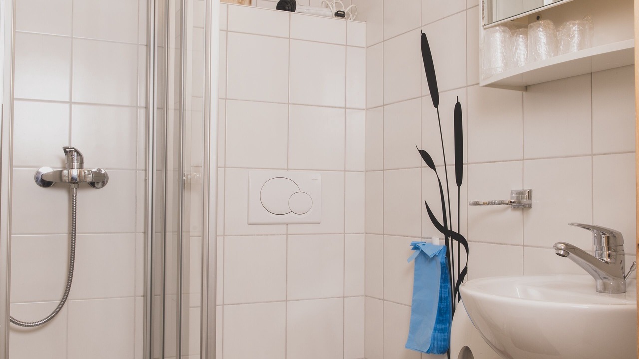 Photo of Bathroom in Zinal