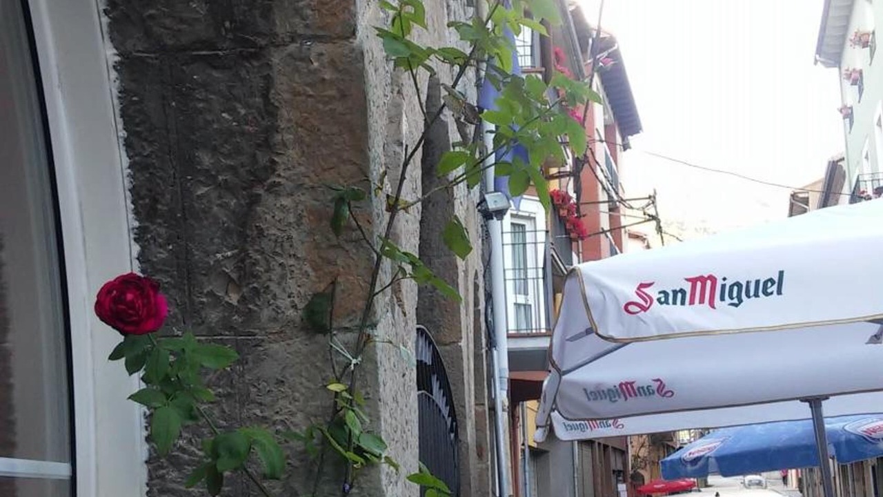 Photo of Outdoor in Ribes De Freser