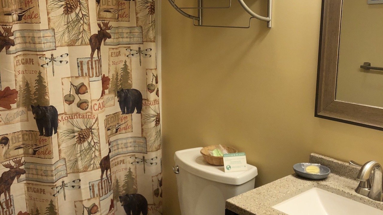 Photo of Bathroom in Manchester Center