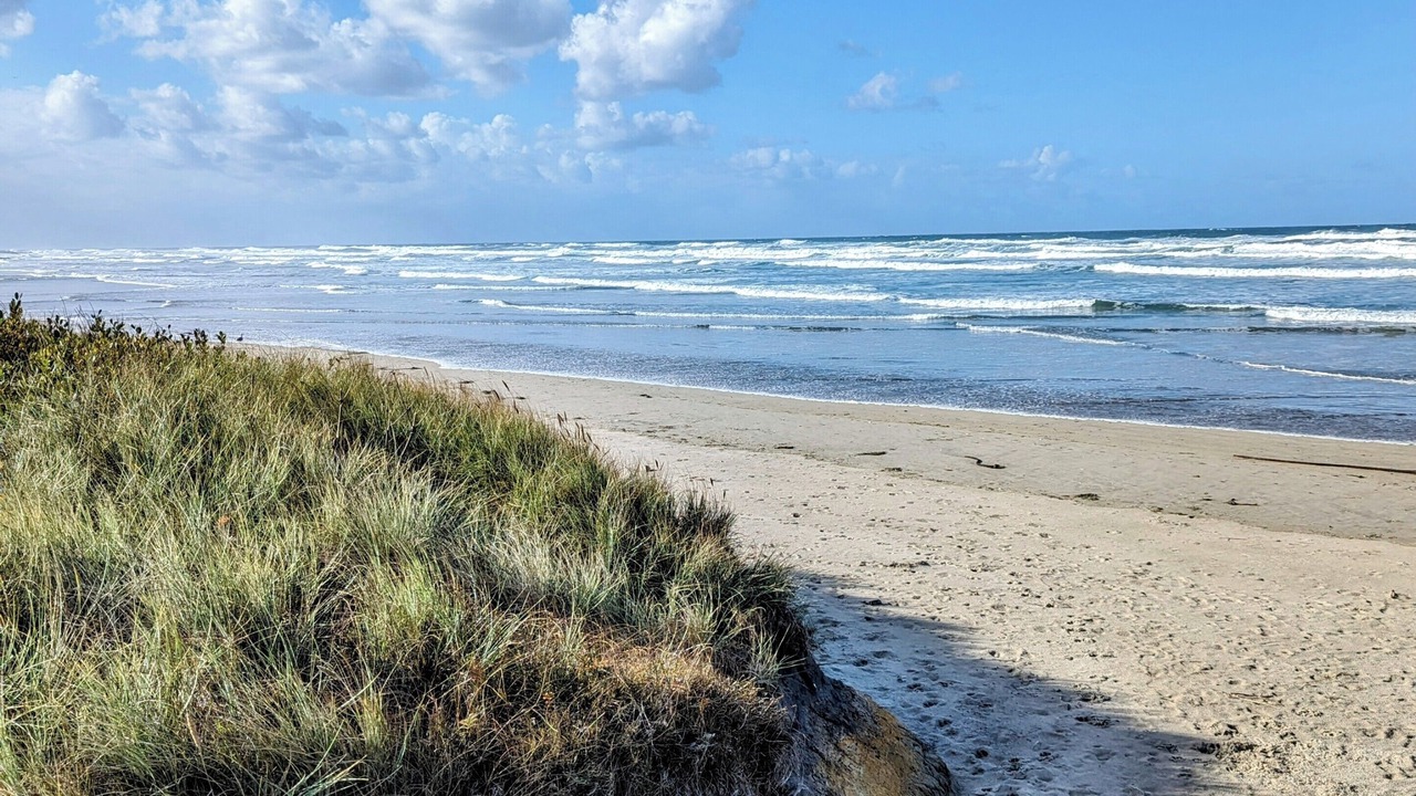 Photo of Others in Yachats