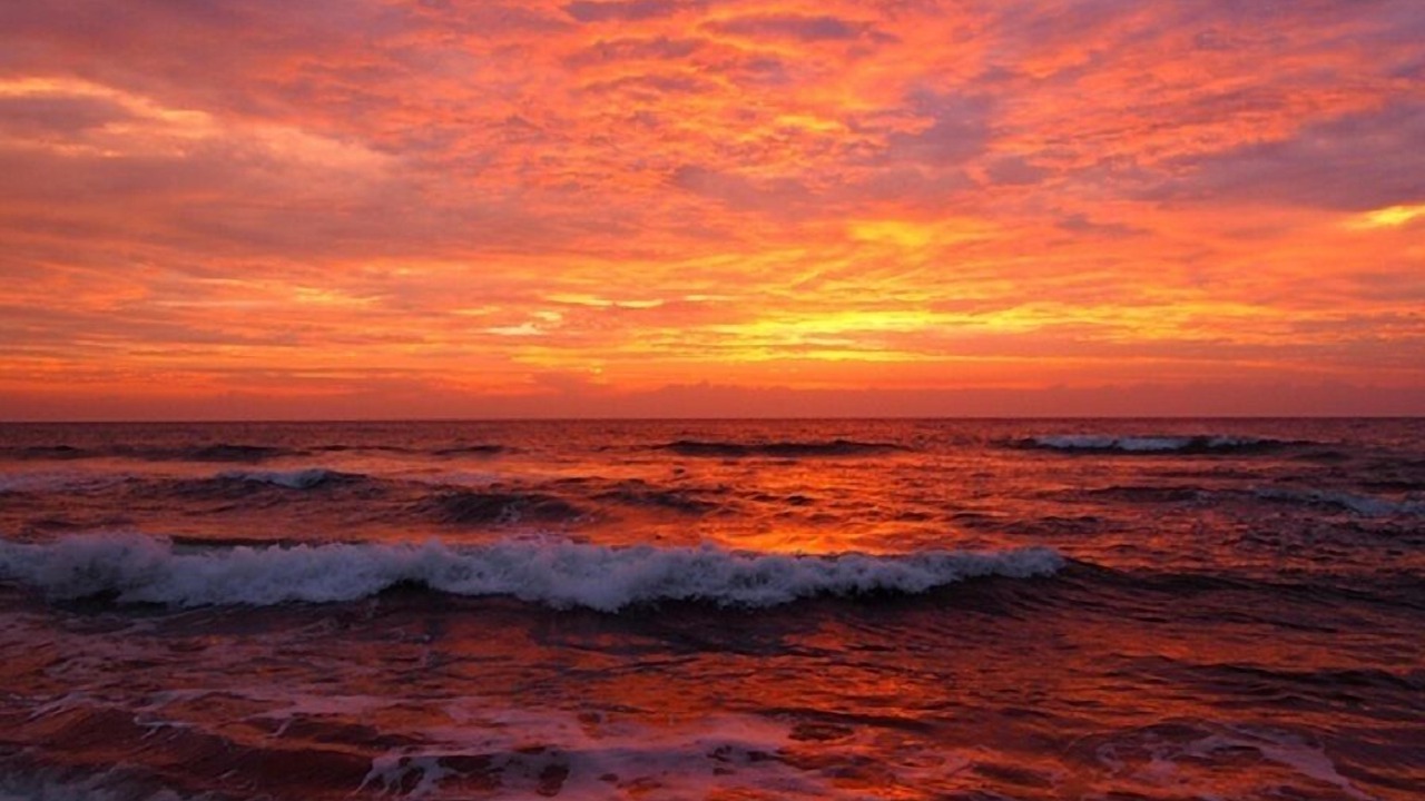 Photo of Others in Ormond-by-the-Sea