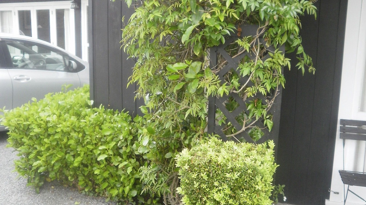 Photo of Outdoor in Taupo