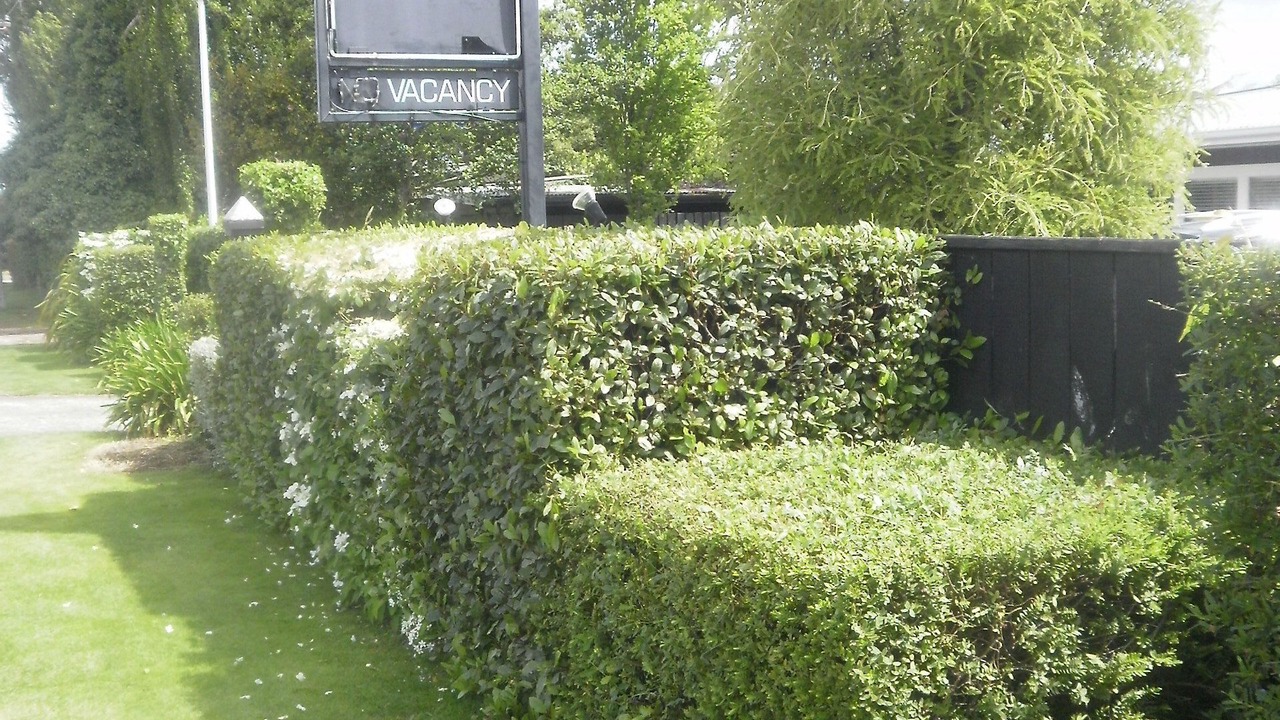 Photo of Outdoor in Taupo