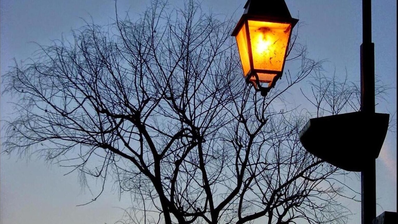 Photo of Outdoor in Anthy-sur-Leman