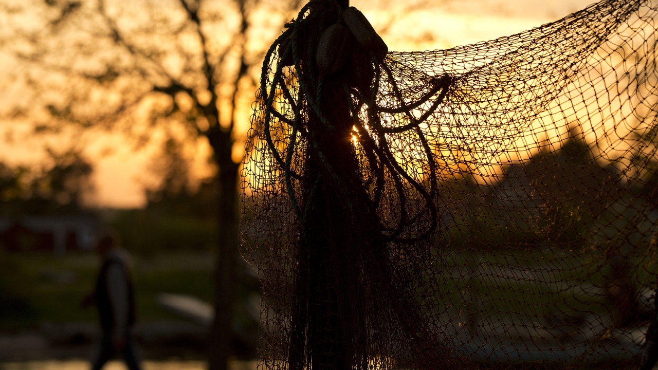 Photo of Others in Norsminde