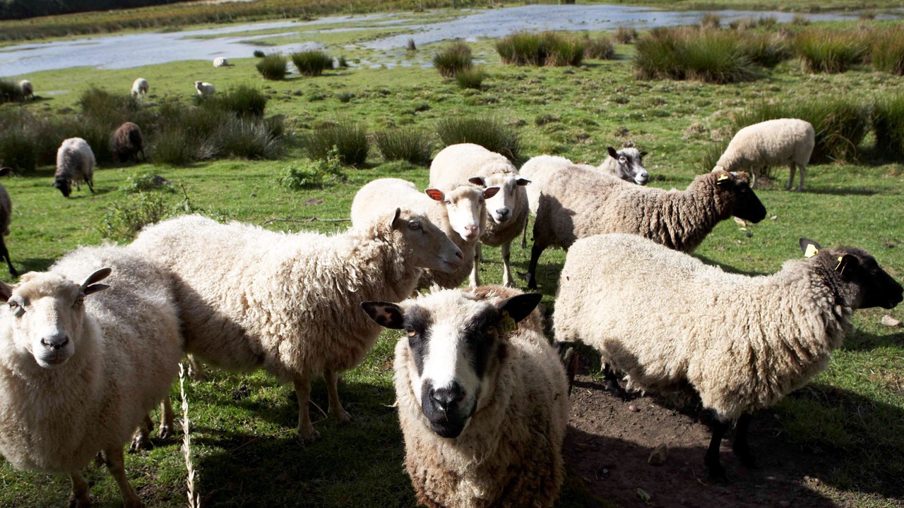 Photo of Others in Norsminde