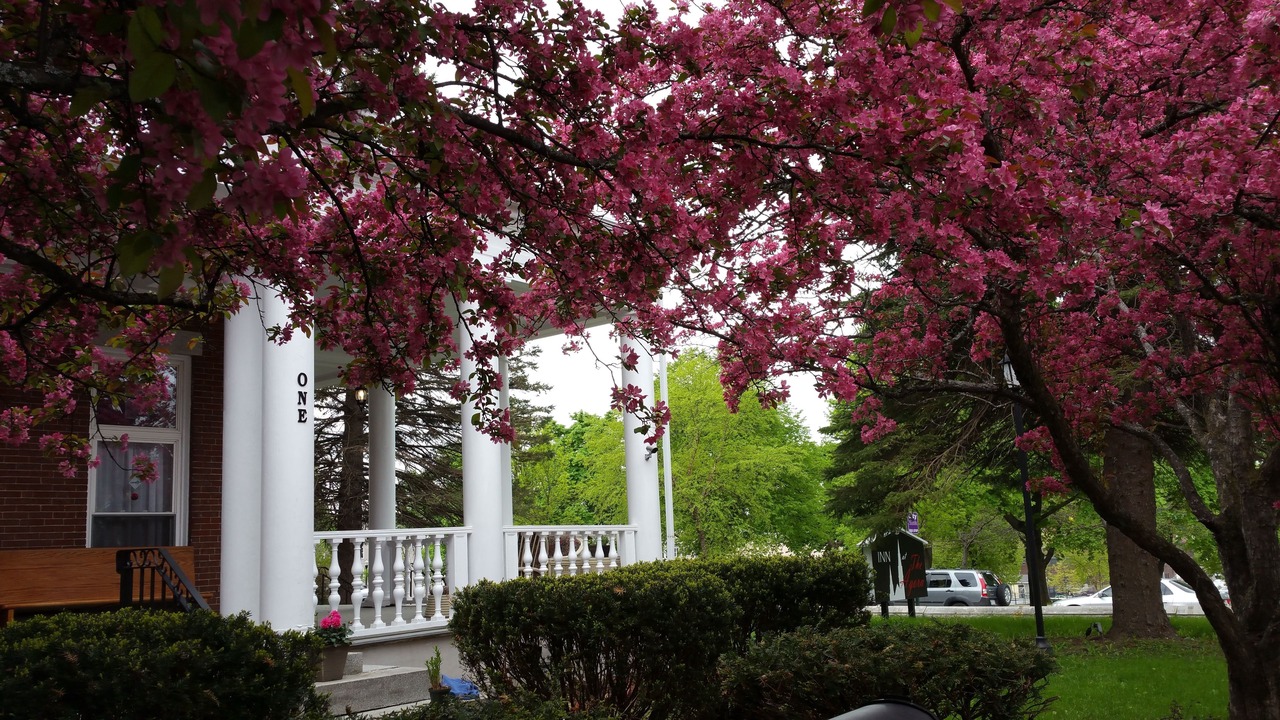 Photo of Outdoor in Lewiston