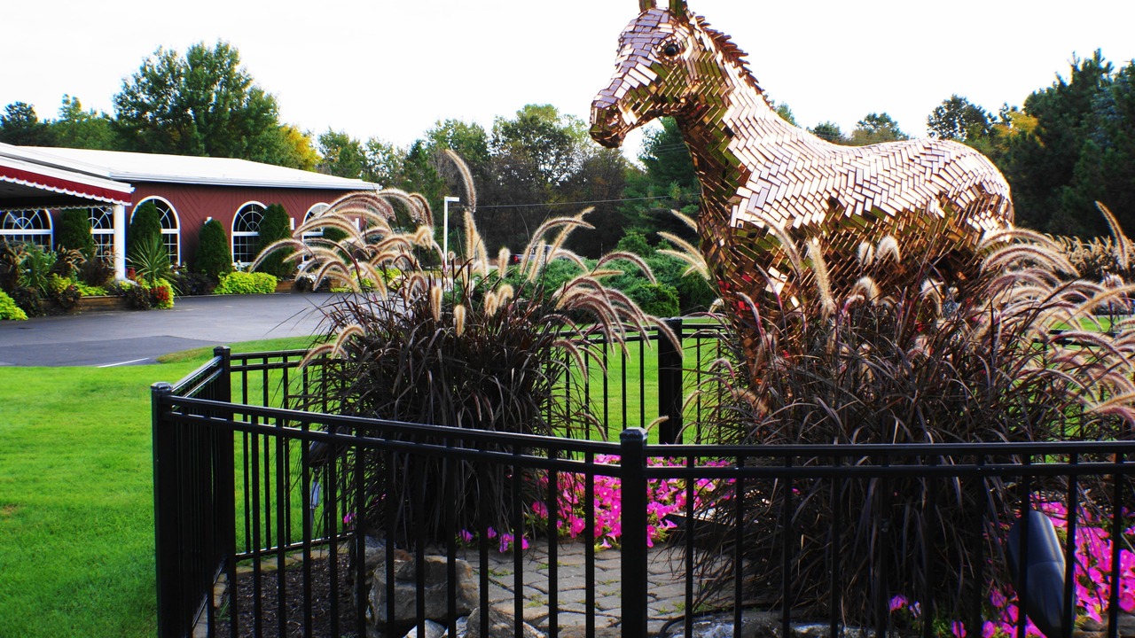 Photo of Outdoor in Fort Edward