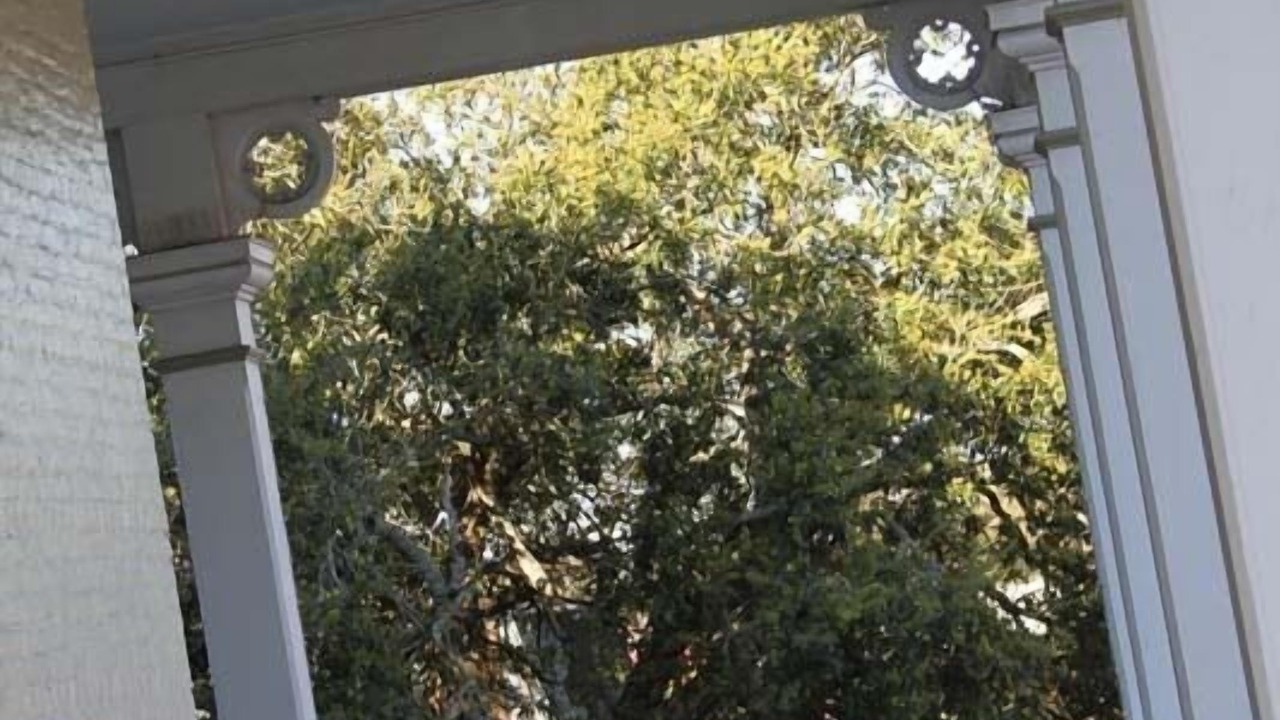 Photo of Outdoor in Thibodaux