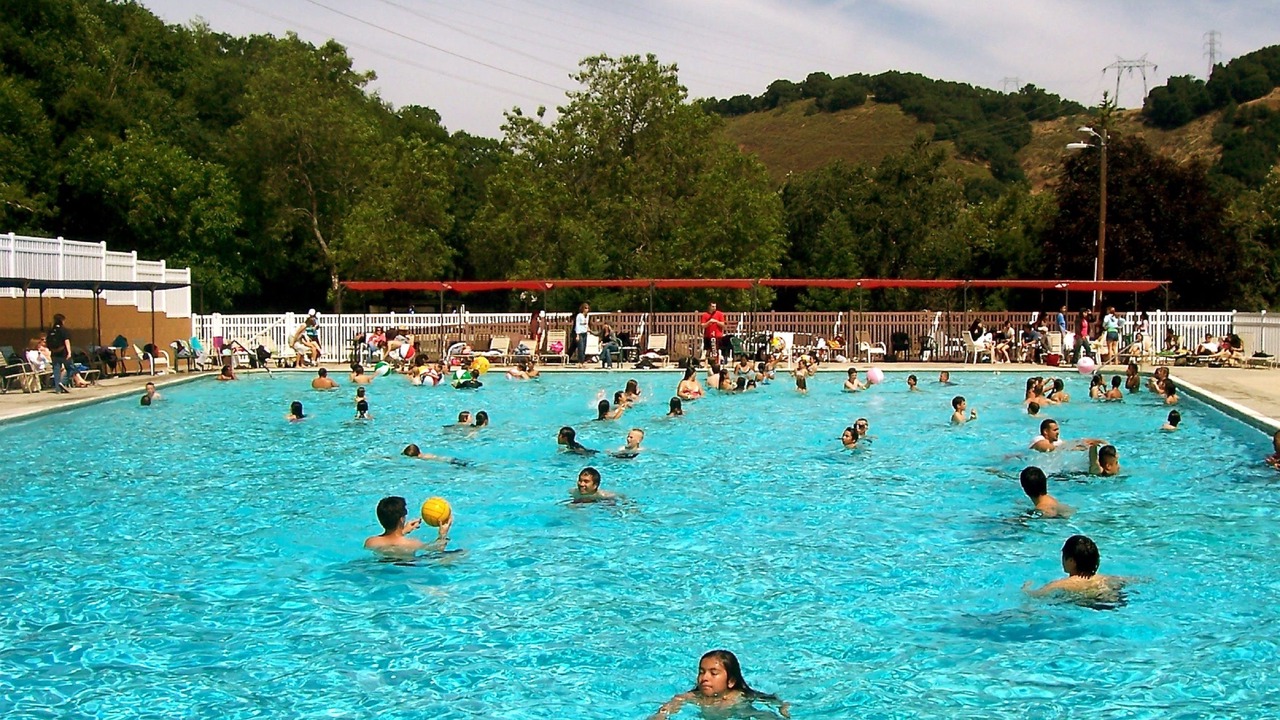 Photo of Human In Picture in Gilroy